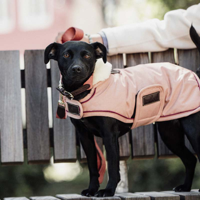 Dog Blanket Waterproof 160g Coral