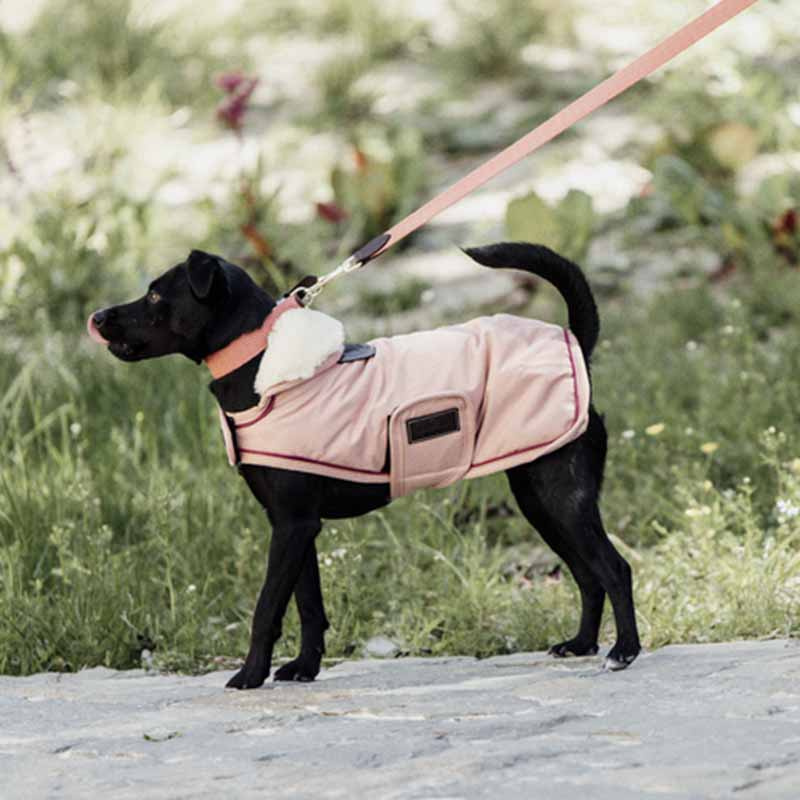 Dog Blanket Waterproof 160g Coral