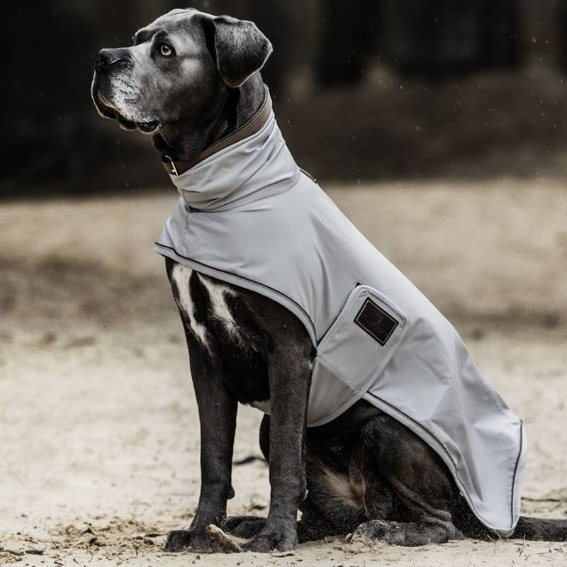 Raincoat Dog 0g Grey