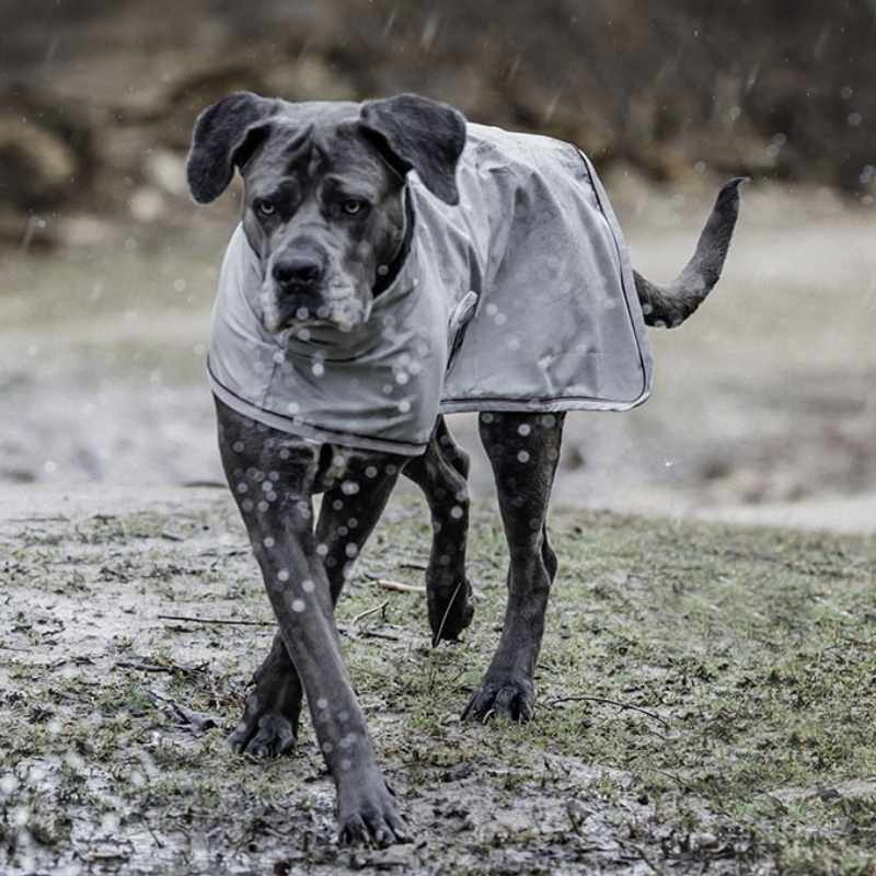 Raincoat Dog 0g Grey