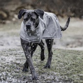 Raincoat Dog 0g Grey Raincoat Dog 0g Grey