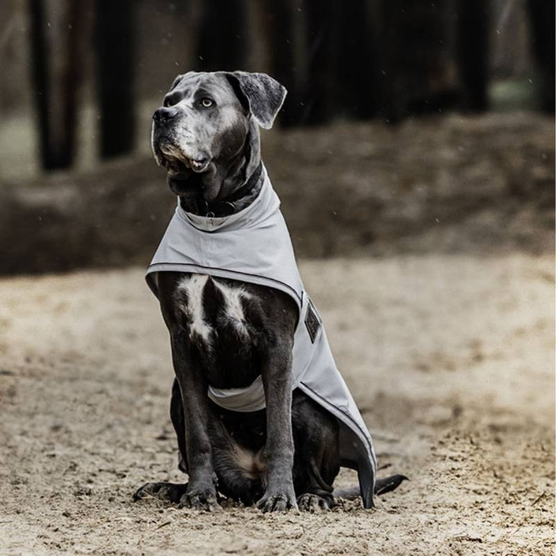 Raincoat Dog 0g Grey