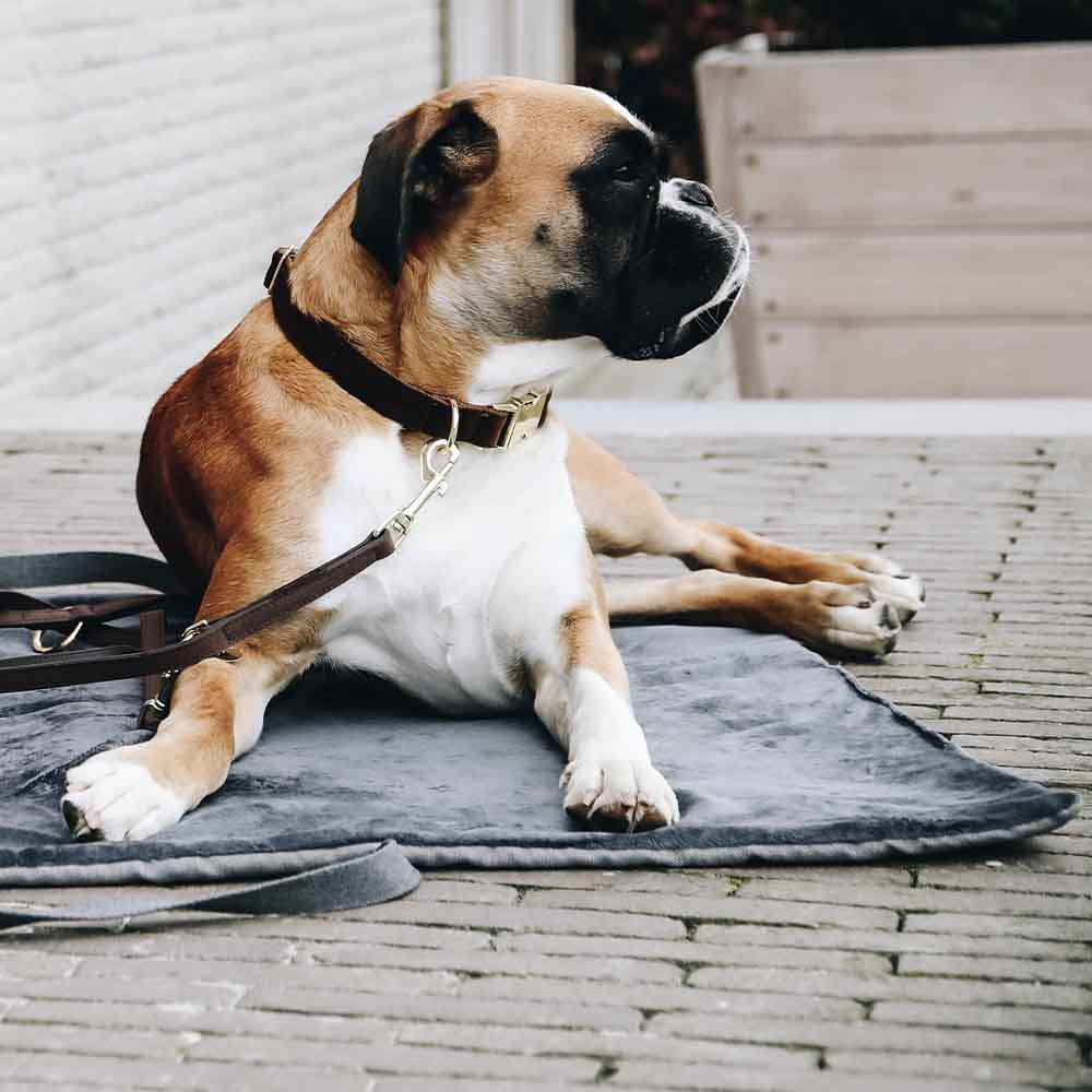 Dog Bed Travel In Style Grey