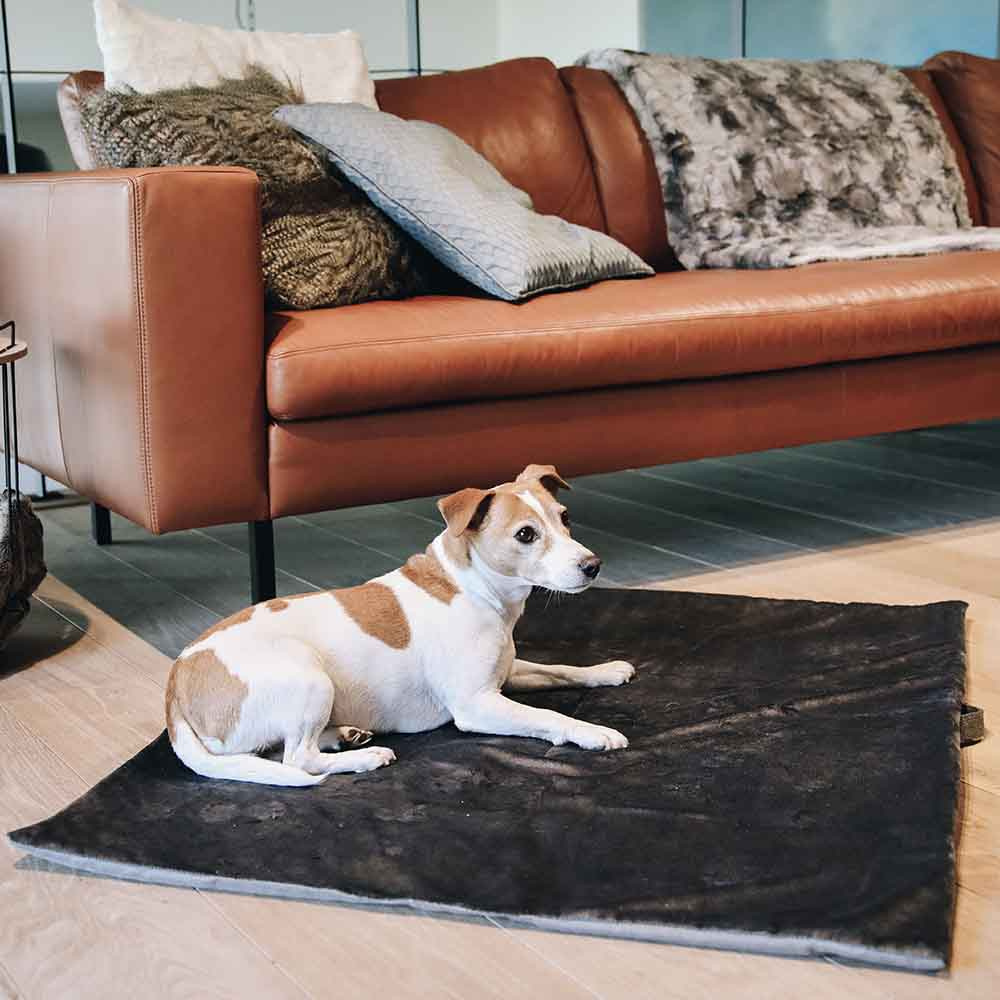 Dog Bed Travel In Style Grey