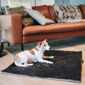 Dog Bed Travel In Style Grey Dog Bed Travel In Style Grey