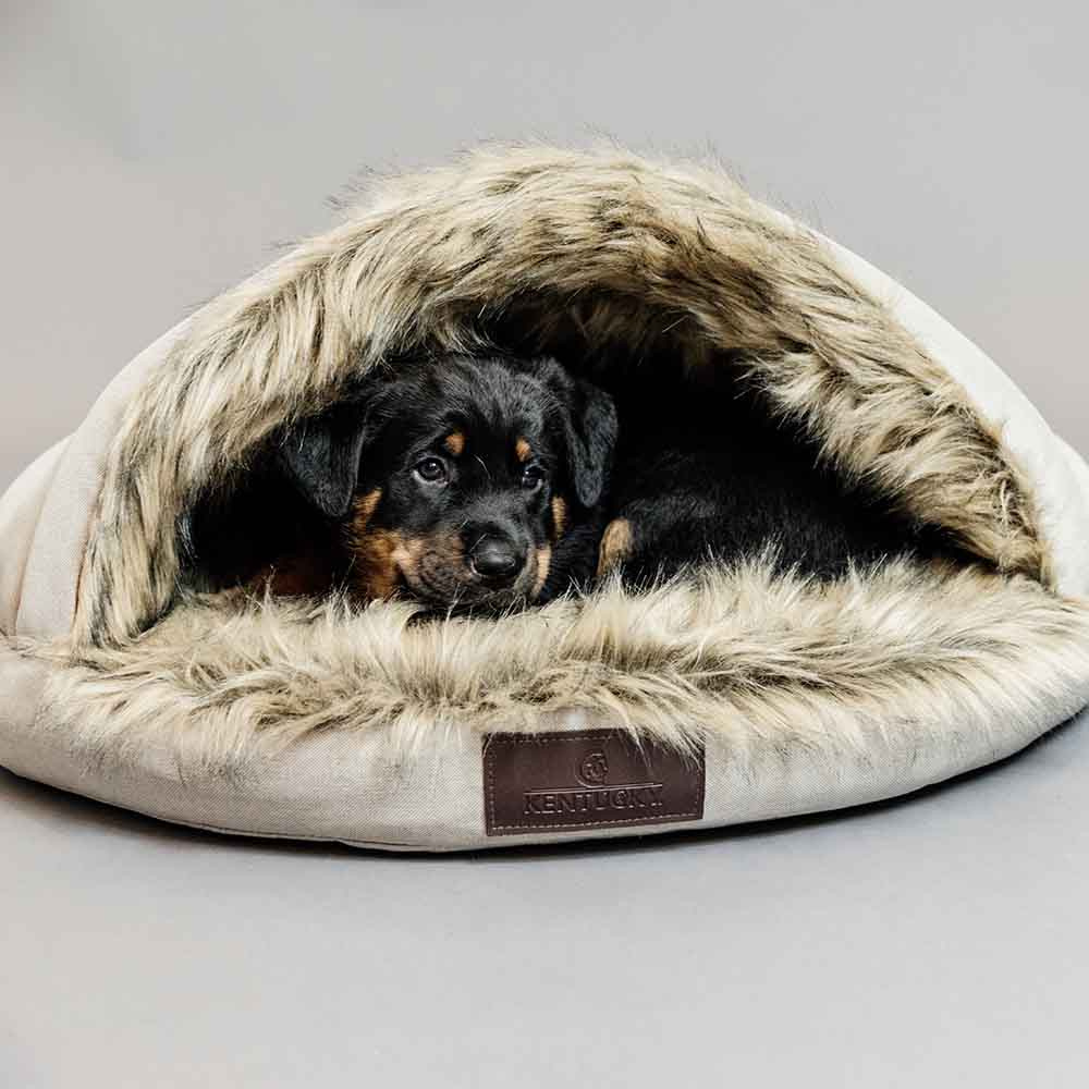 Dog Bed Igloo Beige