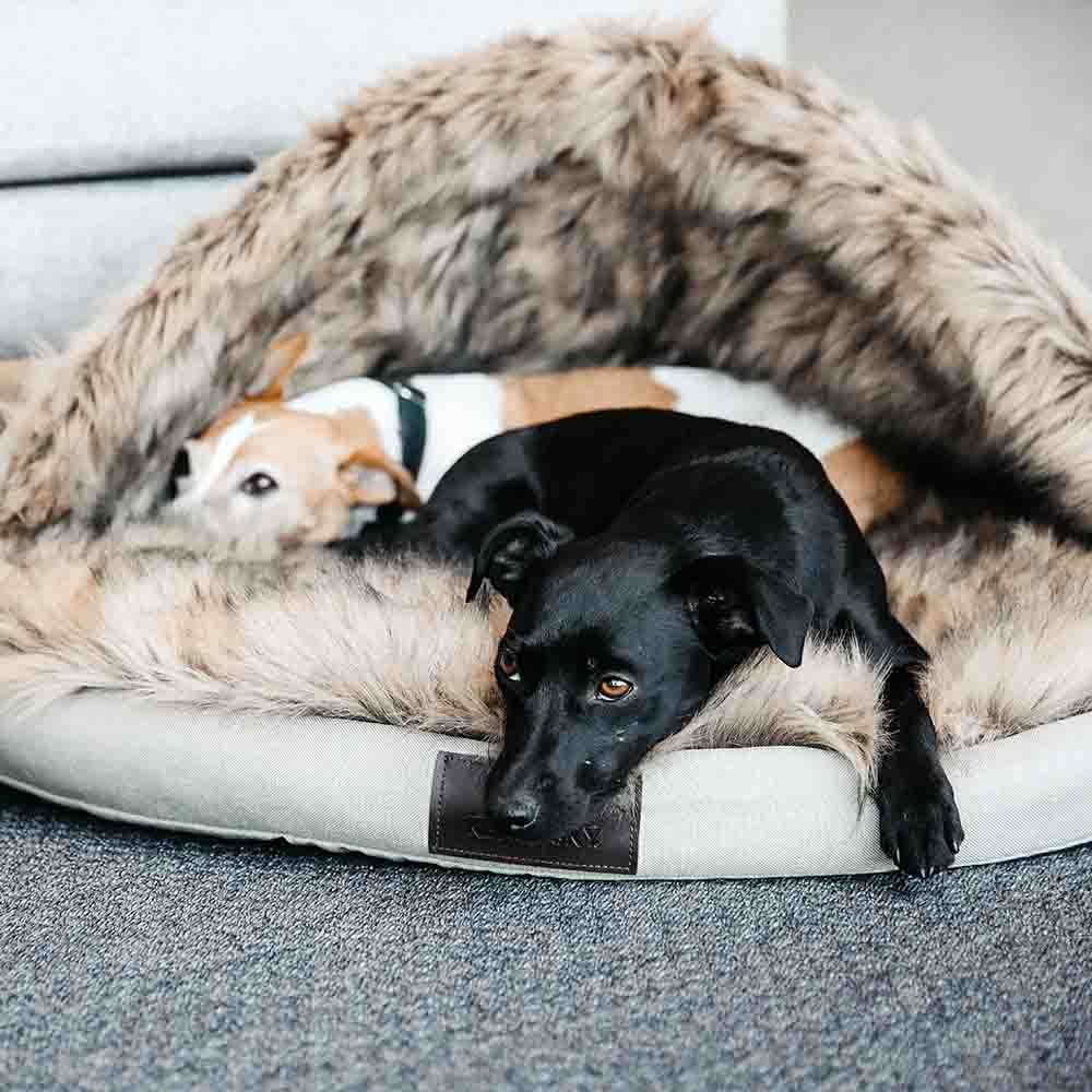 Dog Bed Igloo Beige