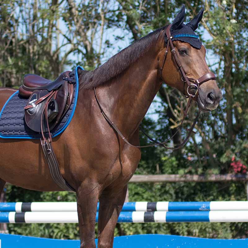 Ear Bonnet Florence Navy Blue