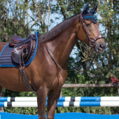 Ear Bonnet Florence Navy Blue Ear Bonnet Florence Navy Blue