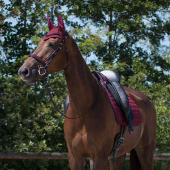 Ear Bonnet Florence Burgundy Ear Bonnet Florence Burgundy