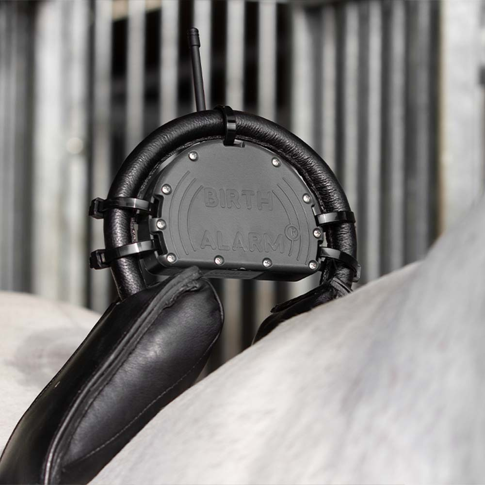 Top Part to Anti-Roll Girth Black