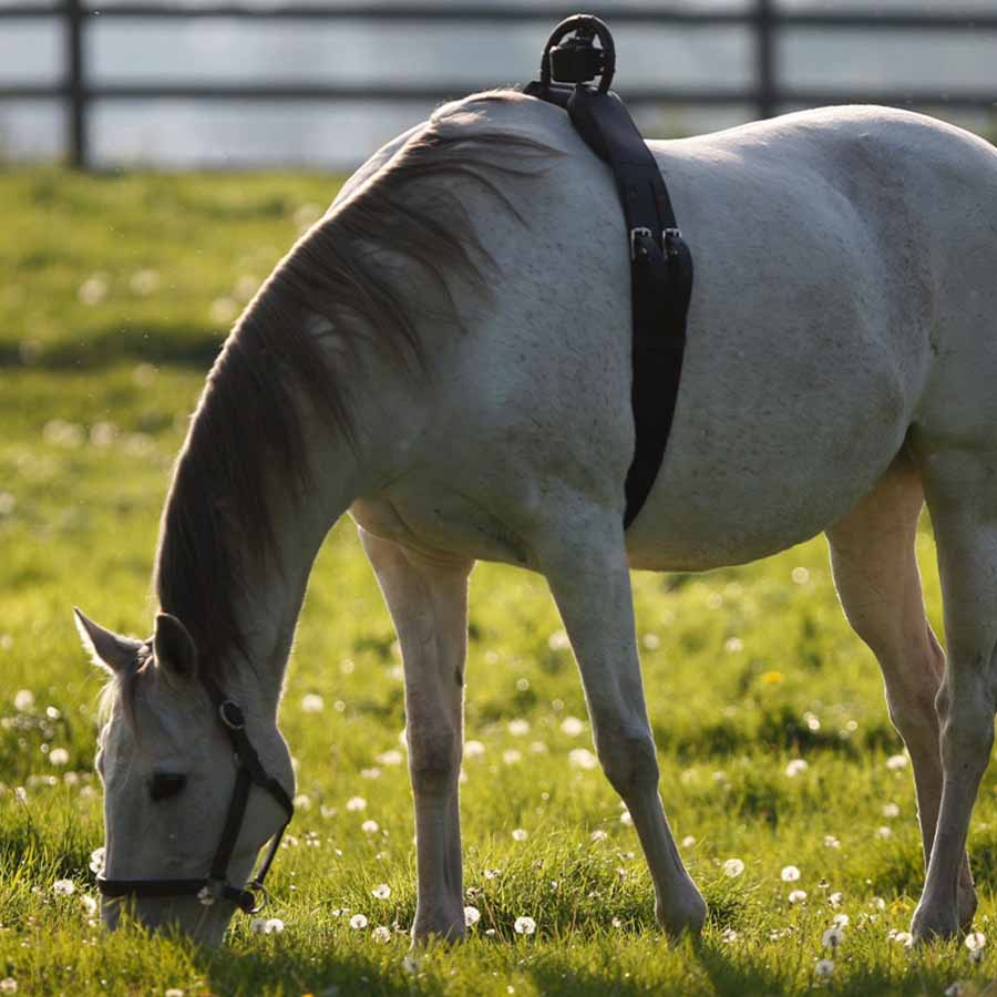 Top Part to Anti-Roll Girth Black