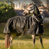 Rain Rug with Neck Irish Turnout 50g Black/Gold Rain Rug with Neck Irish Turnout 50g Black/Gold