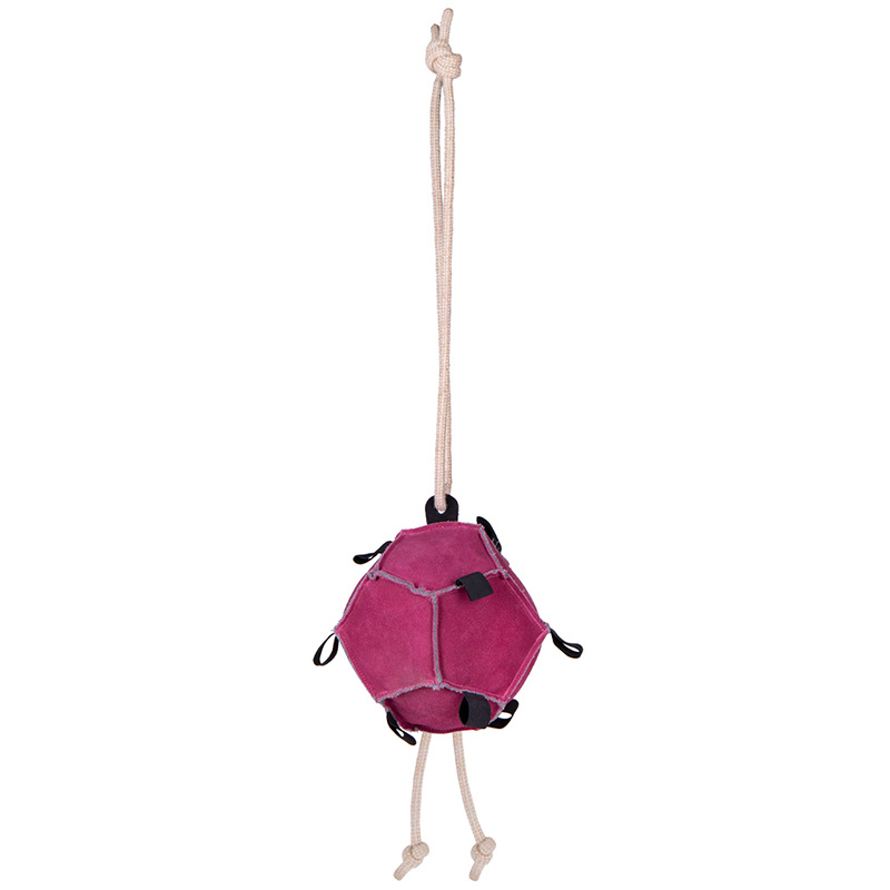 Horse Toy Ball Loop in Suede Pink