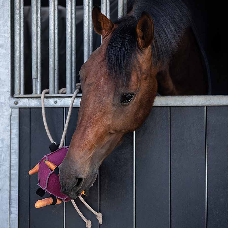 Horse Toy Ball Loop in Suede Pink