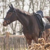 Ear Bonnet Salerno Black Ear Bonnet Salerno Black