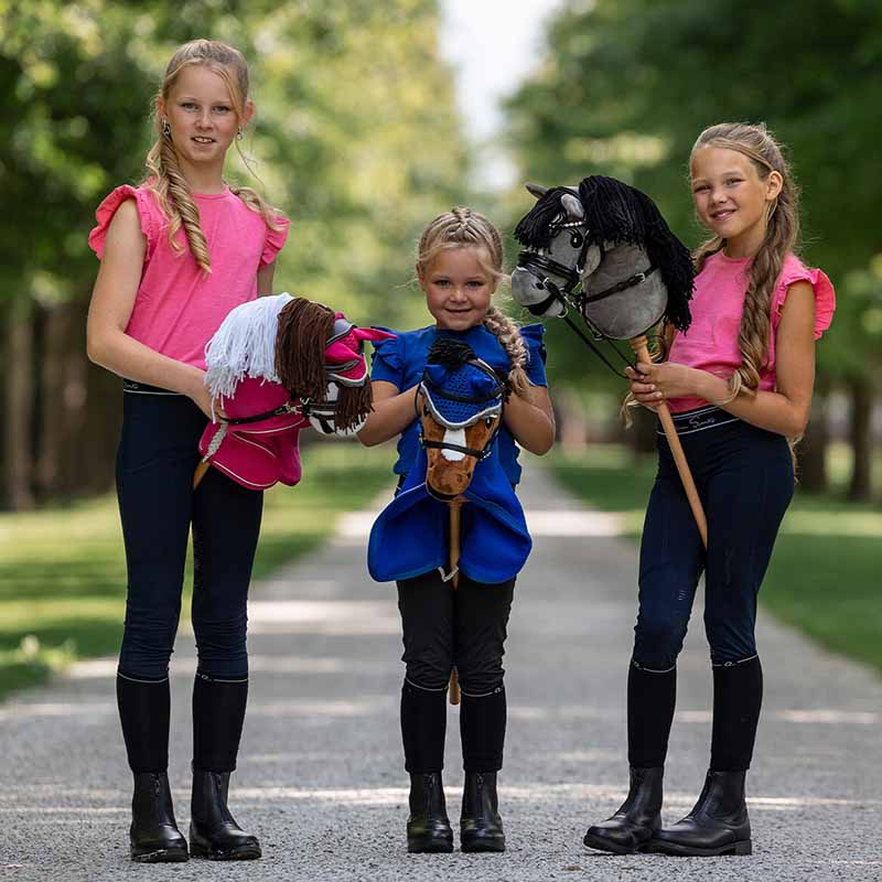 Hobby Horse Skewbald