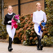 Hobby Horse Brown Hobby Horse Brown