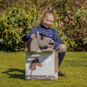 Hobby Horse Grey Hobby Horse Grey