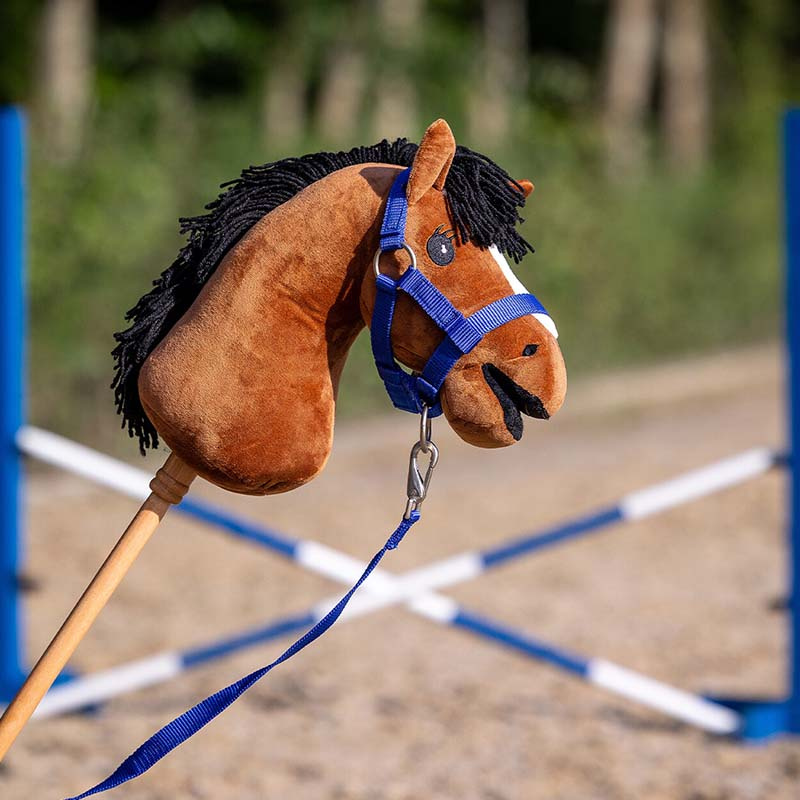 Halter and Lead Rope for Hobby Horse Blue