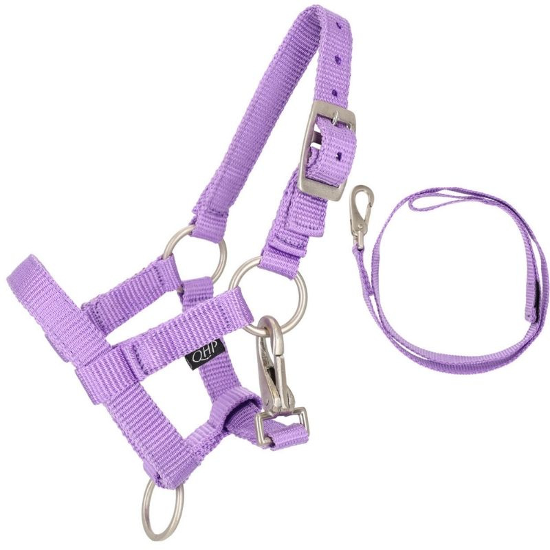 Halter and Lead Rope for Hobby Horse Purple