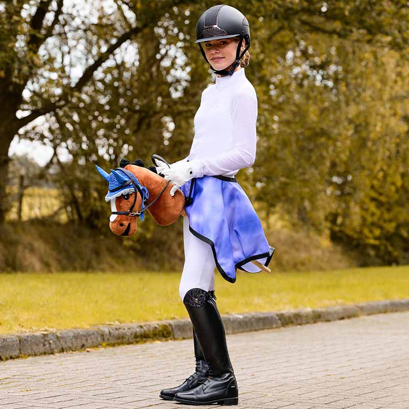 Exercise Sheet for Hobby Horse Blue