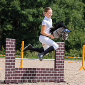 Martingale for Hobby Horse Dark Brown Martingale for Hobby Horse Dark Brown