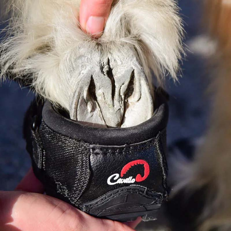 Hoof Boots CLB 2-pack Slim Black