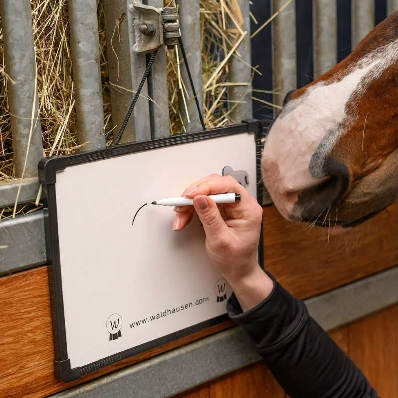 Stable Board Magnetic MemoBoard White