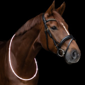 Neck Ring LED Light White Neck Ring LED Light White