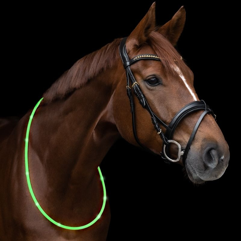 Neck Ring LED Light Green