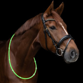 Neck Ring LED Light Green Neck Ring LED Light Green