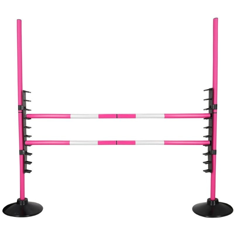 Jump Set for Hobby Horse Pink