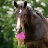 Horse Toy Snackcounter Ice Cream Horse Toy Snackcounter Ice Cream