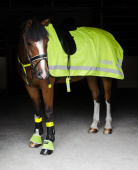 Exercise Rug with Reflectors S