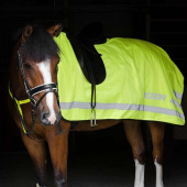 Exercise Rug with Reflectors