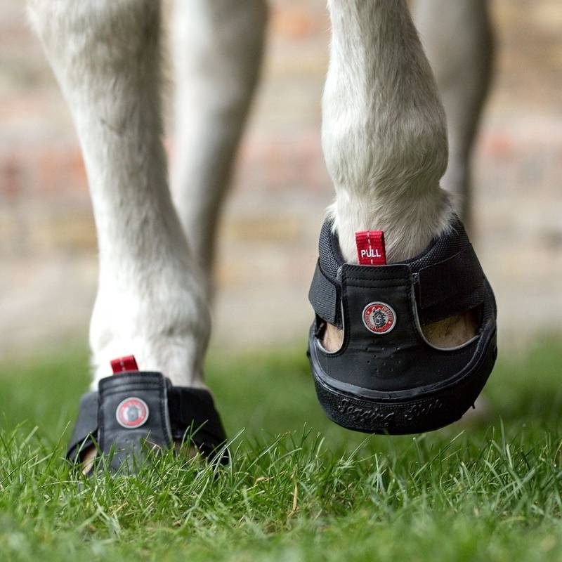 Hoof Boot Trekking Shoe Regular Black