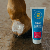 Zinc Ointment 100g Zinc Ointment 100g