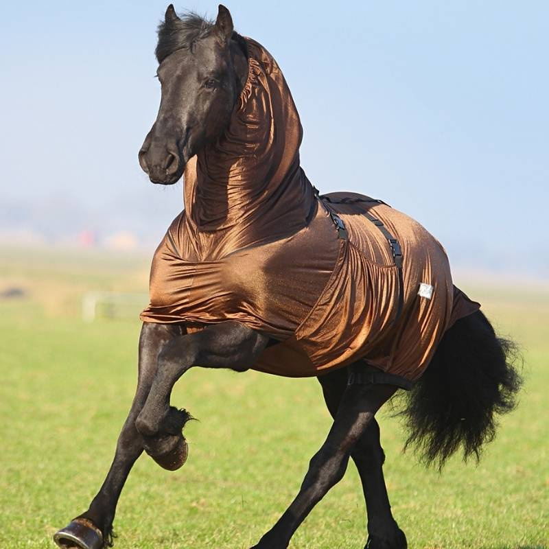 Sweet Itch Rug Big Neck Brown