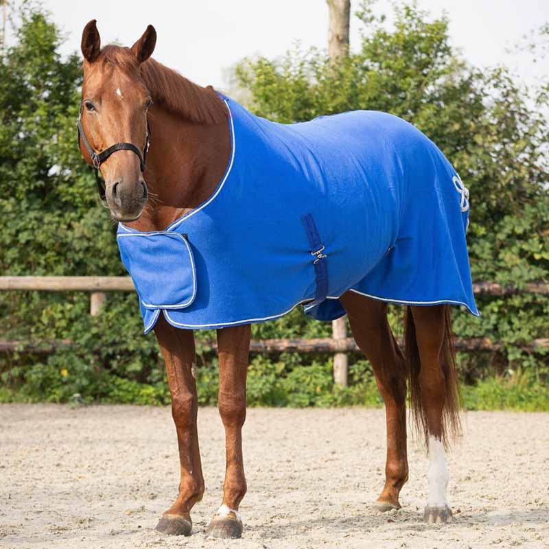 Fleece Rug Ornament Blue/Silver