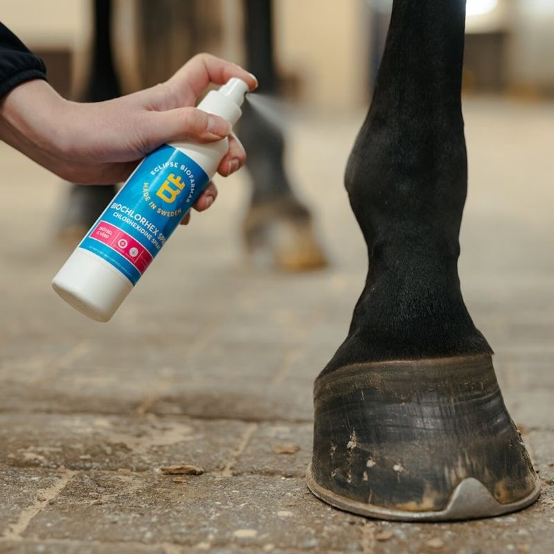 Wound Spray BioChlorHex 200 ml