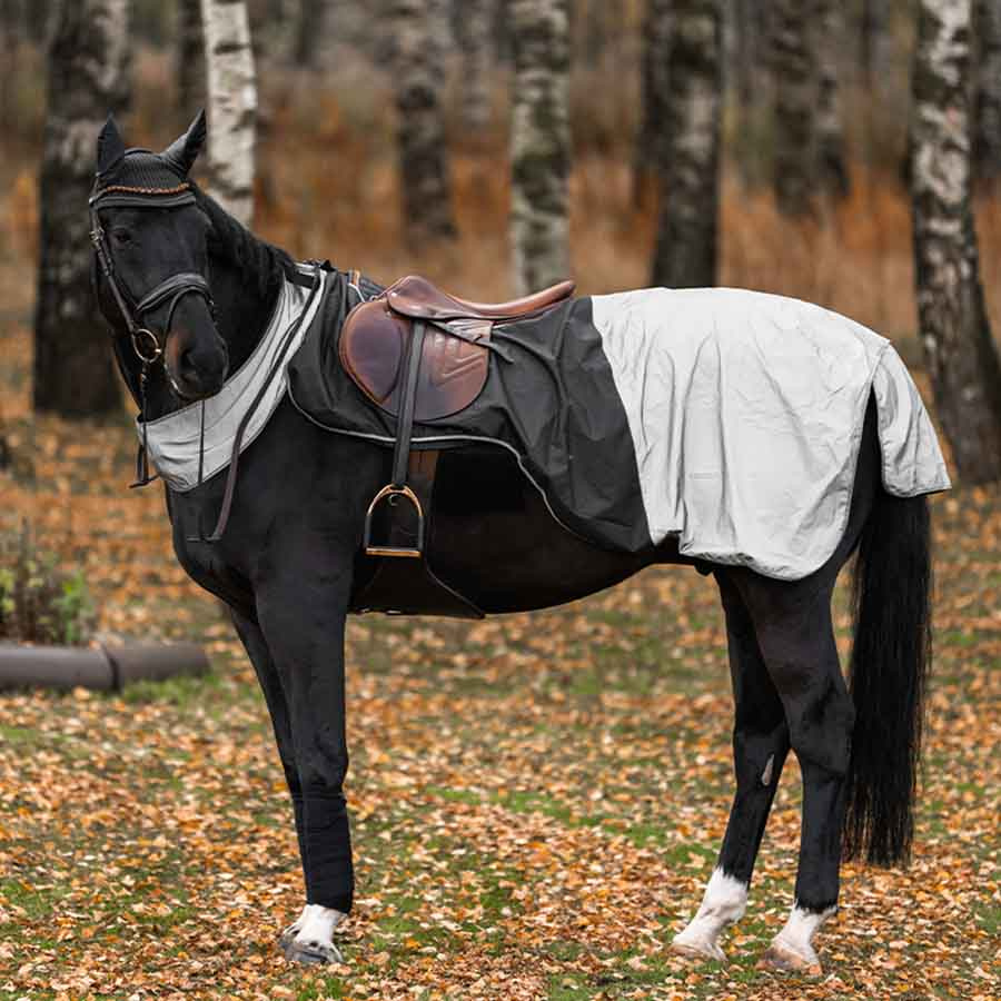 Riding Rug HS Brilliance Reflex Black/Silver