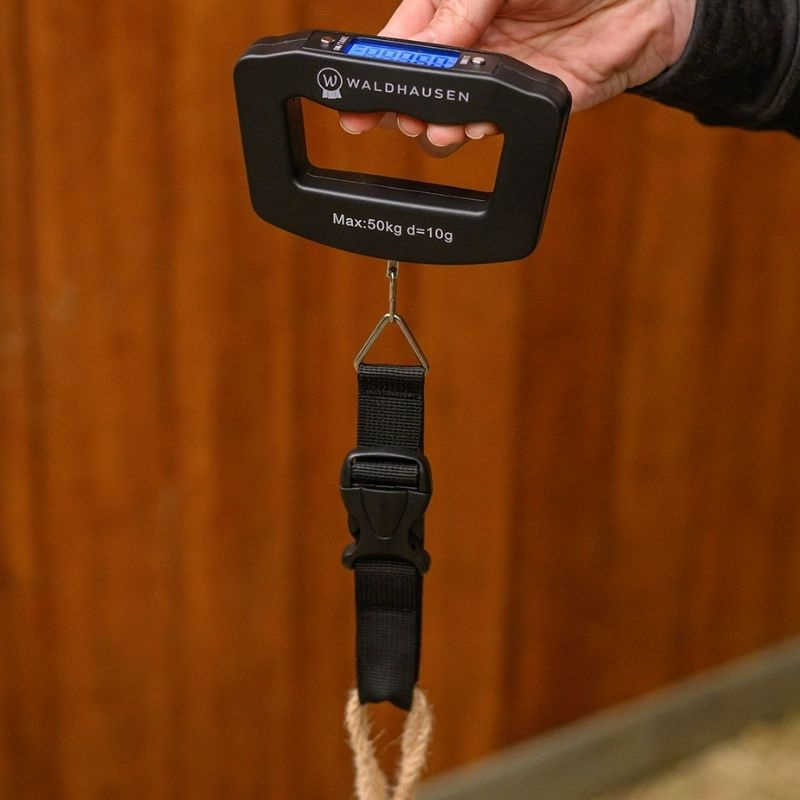 Scale Digital Black