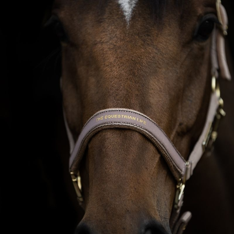 Halter HS Equestrian Life Beige