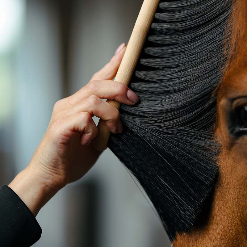 Banana Brush PP X-Long Black