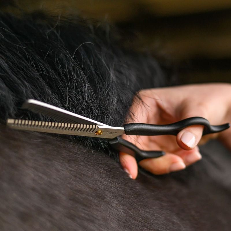 Thinning Scissors Thinning Shears Black