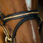 Bridle HS Clincher Aachen Black Bridle HS Clincher Aachen Black