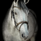 Bridle HS Clincher Aachen Brown Bridle HS Clincher Aachen Brown