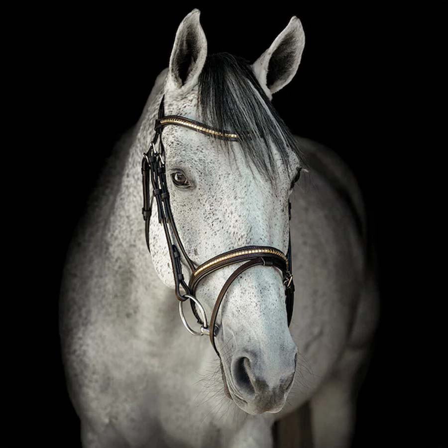 Bridle HS Clincher Aachen Brown