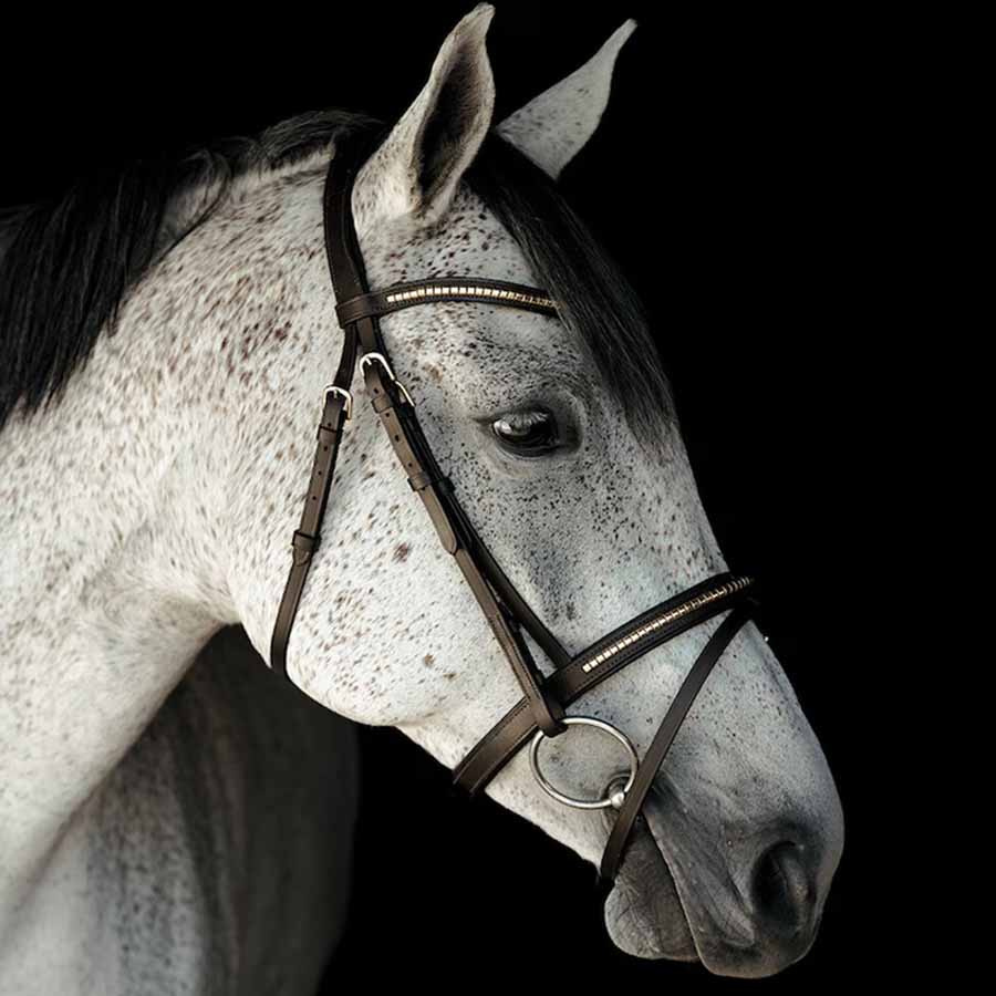 Bridle HS Clincher Aachen Brown